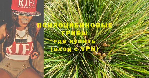 гидропоника Вяземский