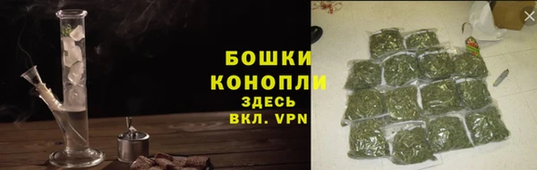 крисы Переславль-Залесский