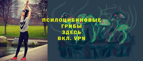 ECSTASY Вязьма